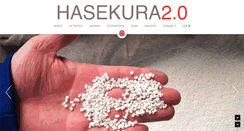 Desktop Screenshot of hasekuraprogram.com